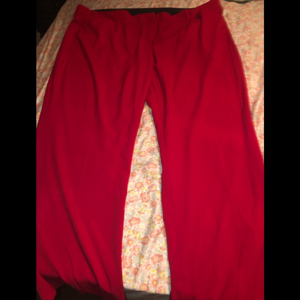 Dress pants